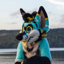 HexagonHusky's avatar